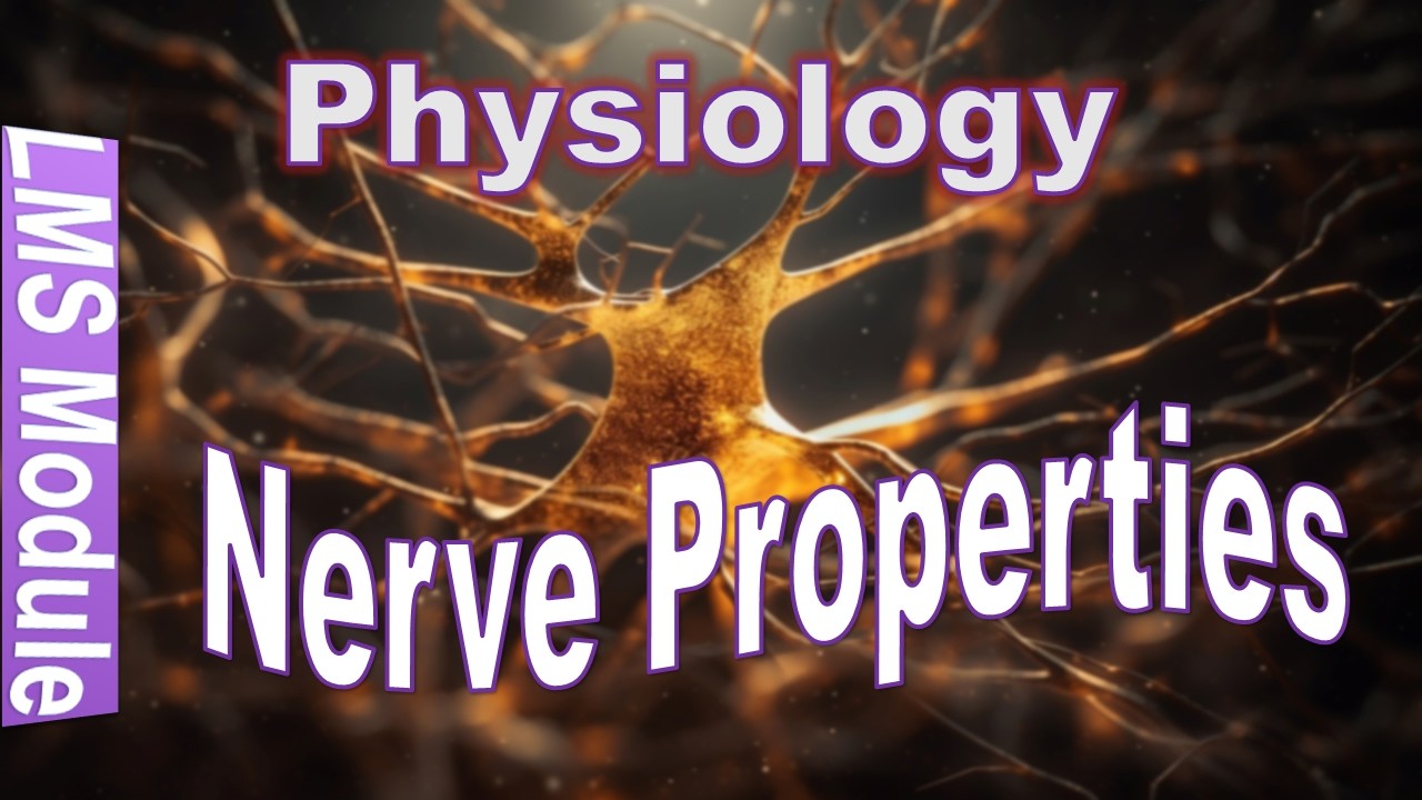 Nerve Properties part 2