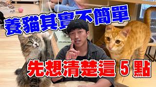 養貓其實不簡單！做決定之前要先想清楚這5點！【尬哩飼貓-ep1】