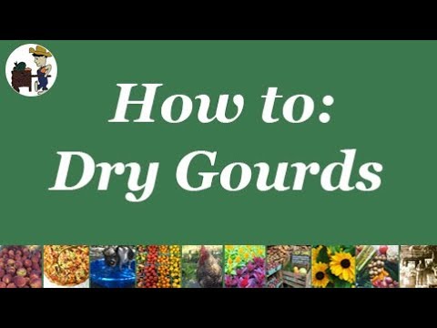 How to: Preserve Gourds