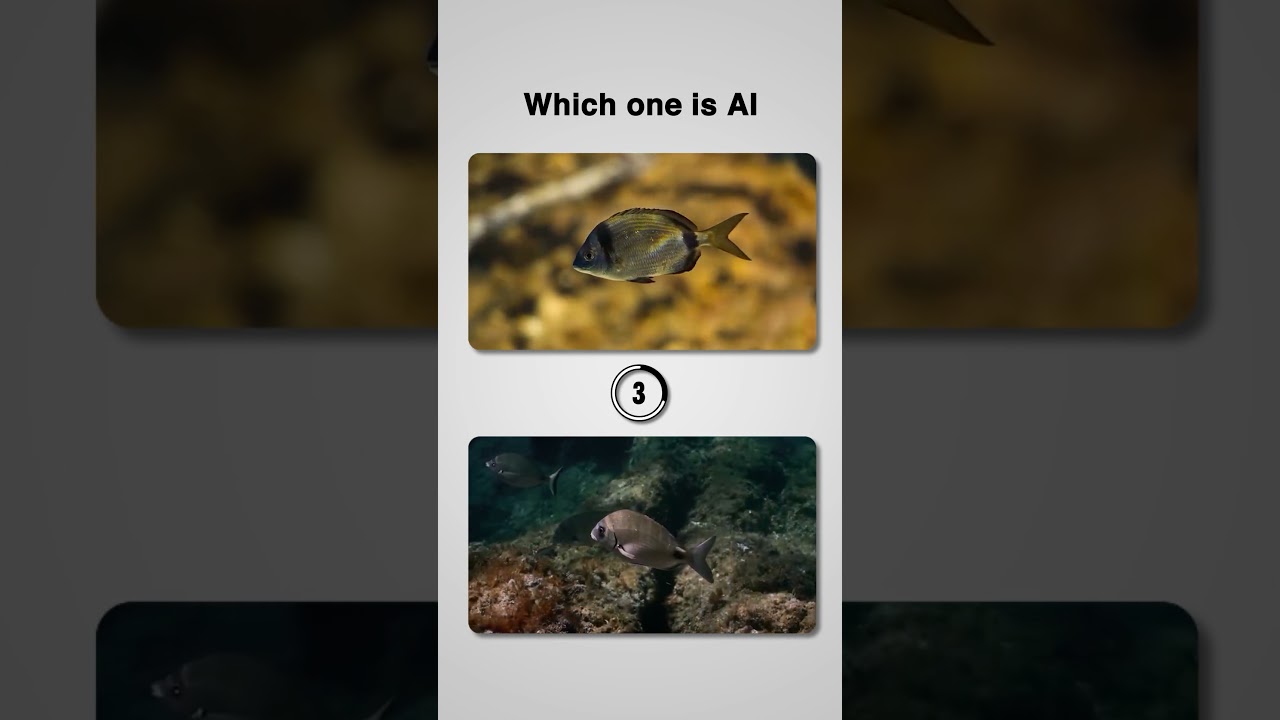 Which one is AI?