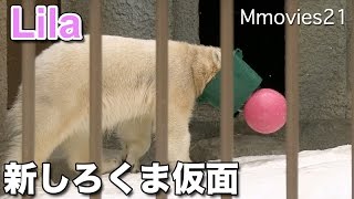 Neo Polar Ranger 帰ってきたしろくま仮面