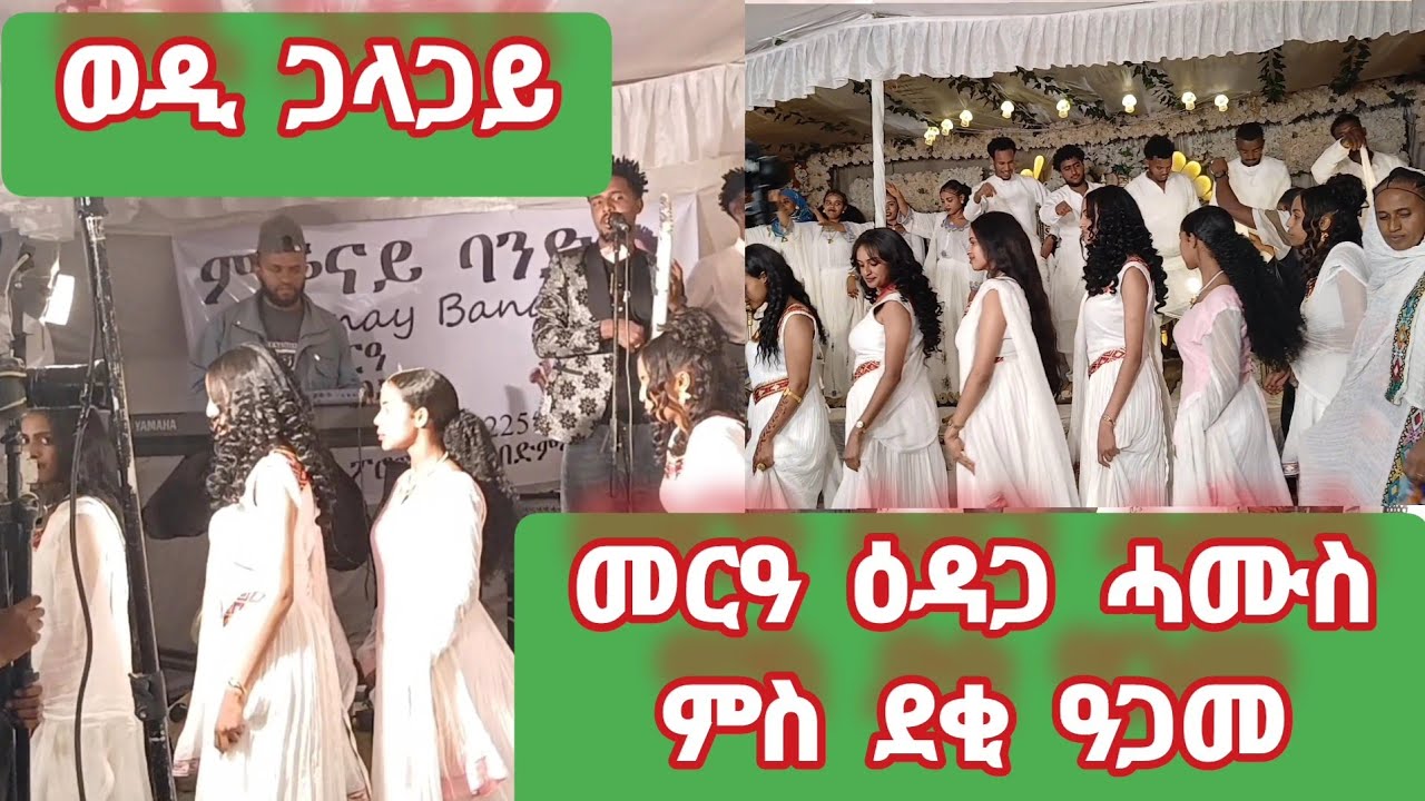 👉ደሳለይ ወዲ ጋላጋይ👌👉ምስ ደቂ ዓጋመን ዕዳጋ ሓሙሰን ደስ ዝብል ዱሙቕ ጓይላ desaley wedi galagay #music 