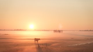Hoop In De Hoep Nl Trailer