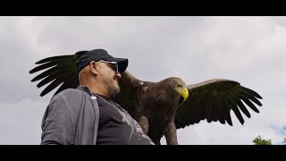 Tabasco - Křídla Official Music Video