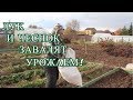 НА СЛЕДУЮЩИЙ ГОД ЧЕСНОК И ЛУК ЗАВАЛИТ УРОЖАЕМ! ПОСАДКА ПОД ЗИМУ. 09.10.19 (часть 1)