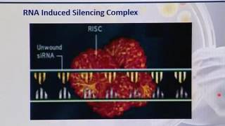 BIO502_Topic189