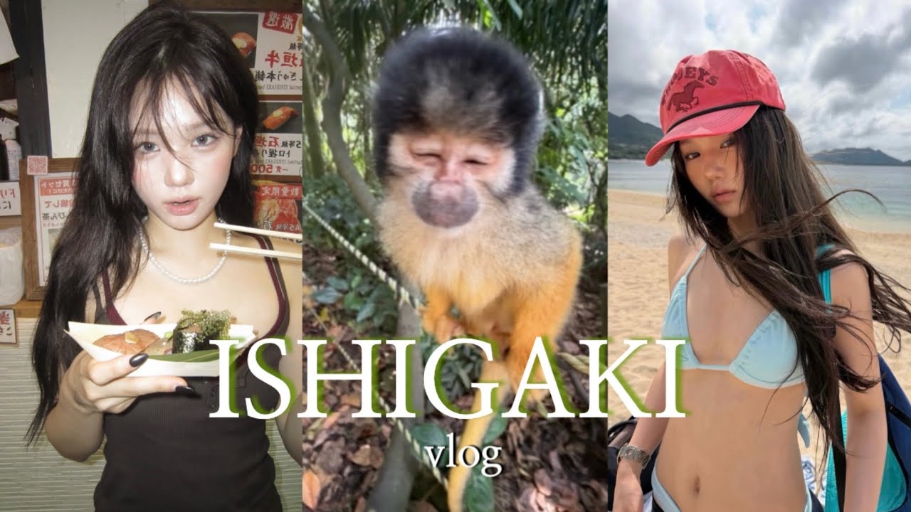 일본의 하와이 🏝️ 이시가키 섬 Vlog .•