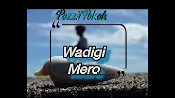 Wadigi Mero | Pozzii Pokeh [ Nuckie Sounds] PNG local reggae 2022