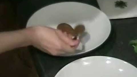 Carrots and Parsnips