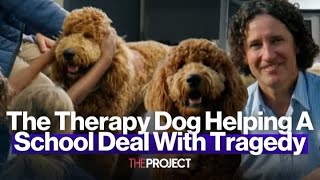 The Therapy Dog Helping A School Deal With Tragedy