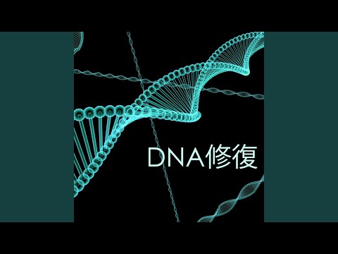 深い眠り