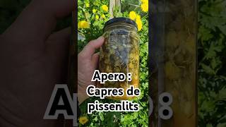 Capres De Pissenlit