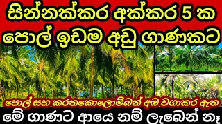 සින්නක්කර පොල් අක්කර 5 ක්  යළි නොලැබෙනා මිලකට | Mango land | Pol idam | Coconut land| Aduwata idam