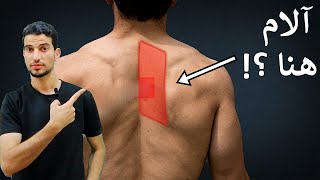 تخلص نهائيا من الم الظهر بين الاكتاف ب 4 تمارين فقط + 3 اسرار _rhomboid muscle