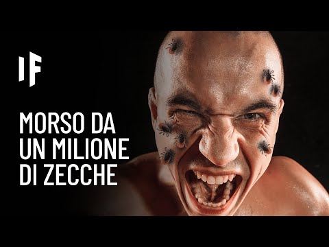 Video: Guida: Enormi Popolazioni Di Zecche Possono Minacciare Te E Il Tuo Animale Domestico