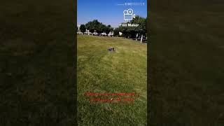 Mohammad Is Enjoying Weekend With Parents Khobar