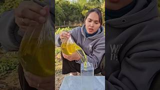 Survival Skills: Simple and USEFUL save water in forest #camping #survival #bushcraft #outdoors💦