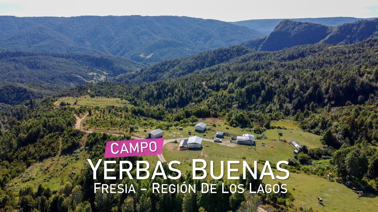Campo en Los Muermos, Yerbas Buenas – Región de Los Lagos