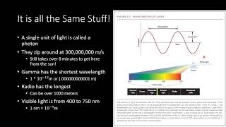 Lecture 2.1 - The Visual System