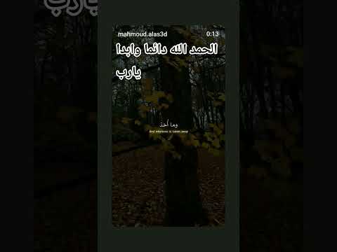 ٣ يوليو، ٢٠٢٦