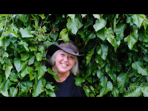 Video: Growing Weeping Mulberry Trees - Tips on Planting A Weeping Mulberry Tree