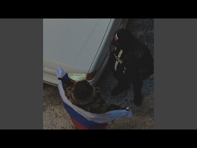 На русском вайбе