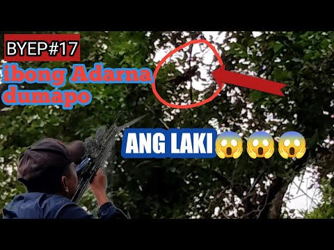 Video: Paano Magrehistro Ng Isang Rifle Sa Pangangaso