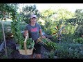 Potager Garden Tour and Harvest (with Duck UPDATE)