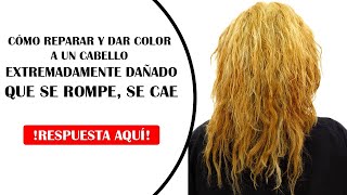 COMO REPARAR Y PINTAR UN CABELLO EXTREMADAMENTE DAÑADO QUE SE ROMPE Y SE CAE