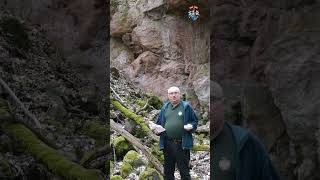 Europäische Kulturhauptstadt 2025 - Zeisigwald Unesco-Weltkulturerbe Steinbrüche