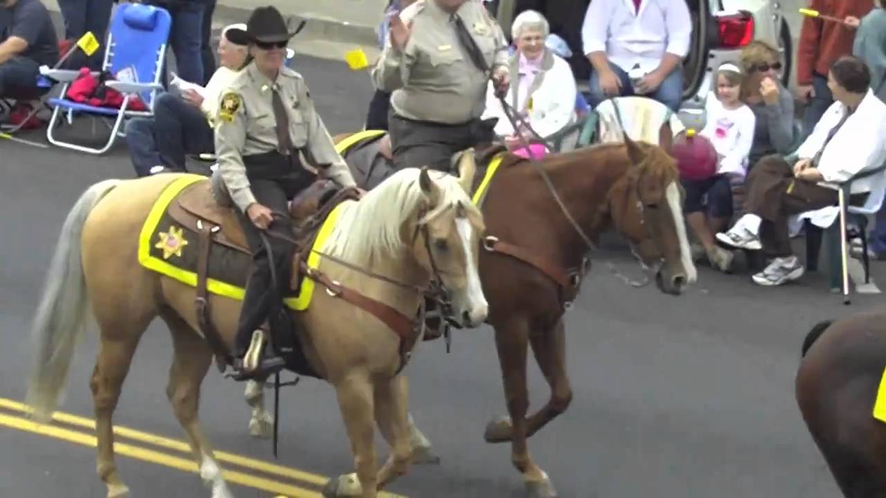 Cambria Pinedorado Parade YouTube