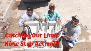 Skyway Fishing Pier Fishing For Spanish Mackerel