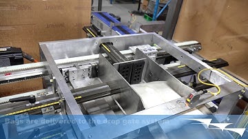 Bag Top Load Case Packer | TL-GDP - AFA Systems