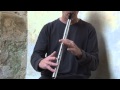 Irish Trad Low Whistle Tutorial 1 - Hole Coverage