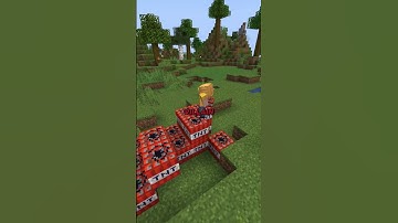 This Minecraft Server Is Actually Insane #minecraft #shorts #smp #earth #oneblock #skyblock #mcyt