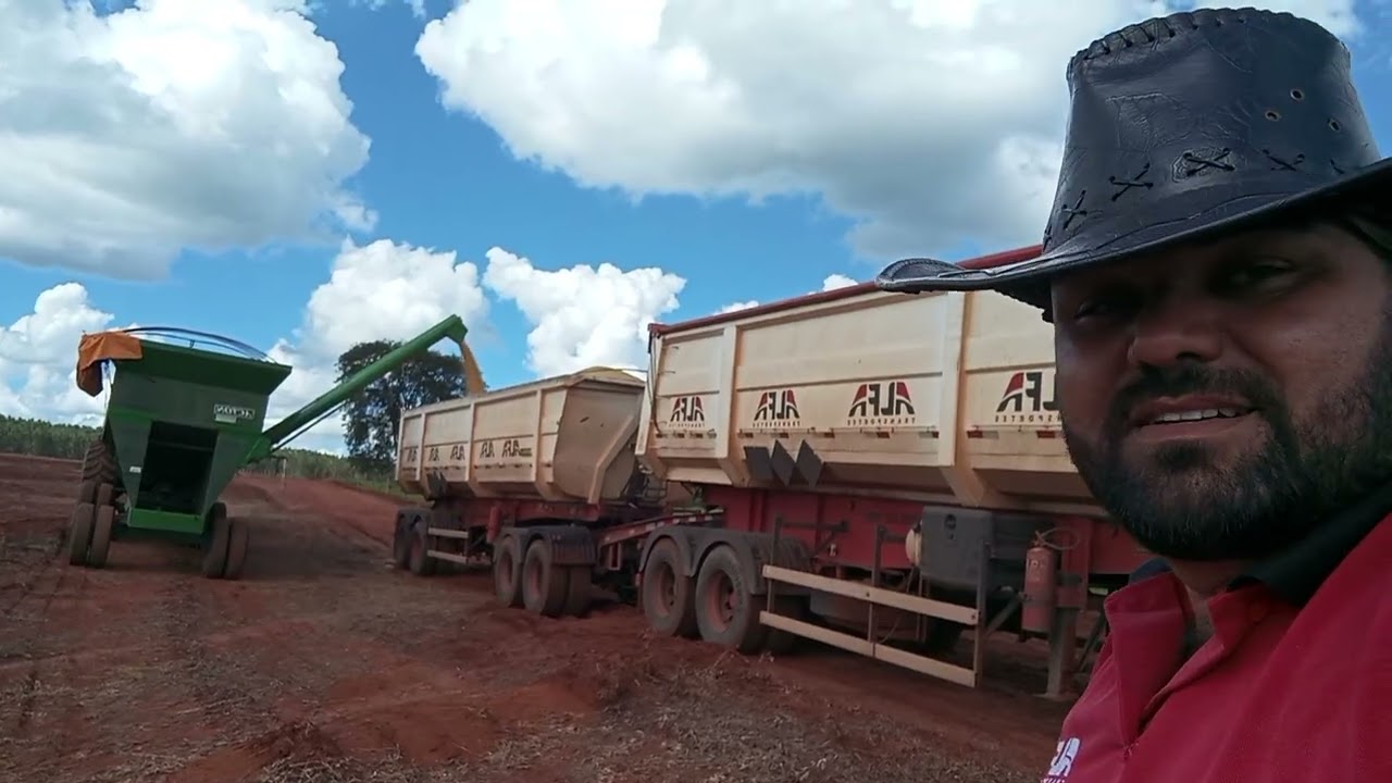 A safra começou e olha nós na roça no puxa da soja em Tupaciguara MG