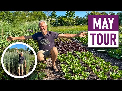 Video: Garden Intercropping: Tipps zum Zwischenpflanzen und intensiven Gärtnern