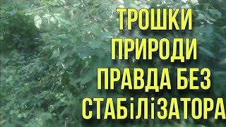 трохи природи без стабілізатора