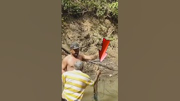 Lươn điện mạnh cỡ nào ? #tonyphan #animals #luondien #cachinhdien #funny