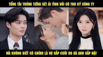 Tổng Tài Trúng Tiếng Sét Ái Tình Với Thư Ký, Nào Ngờ Cô Chính Là Vợ Sắp Cưới Do Bà Anh Sắp Đặt