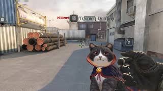 MY CAT-ASNIKOV RIFLE | SPECIAL FORCE 2 PLAYPARK SEA | screenshot 5