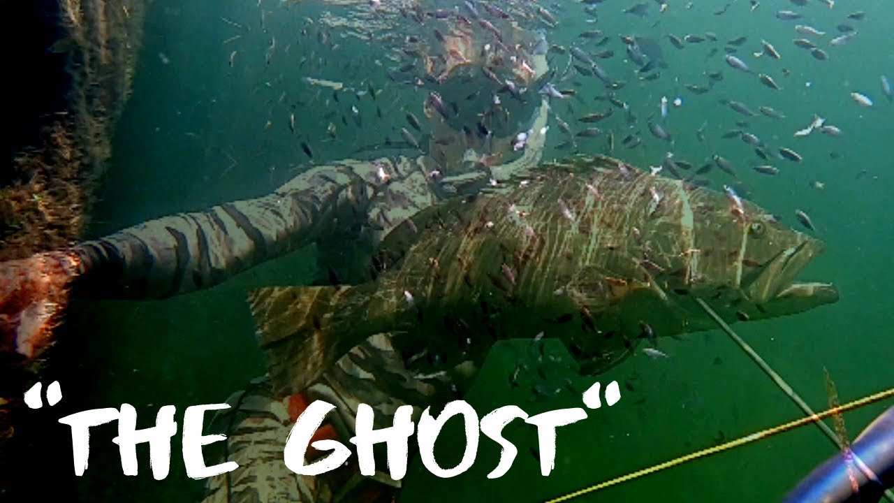 "The Ghost" A Grouper Spearfishing Tale {Broiled Parmesan Recipe, Grouper vs. Cobia} Catch & Cook