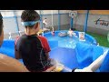 プールのアスレチック作って遊んでみた！