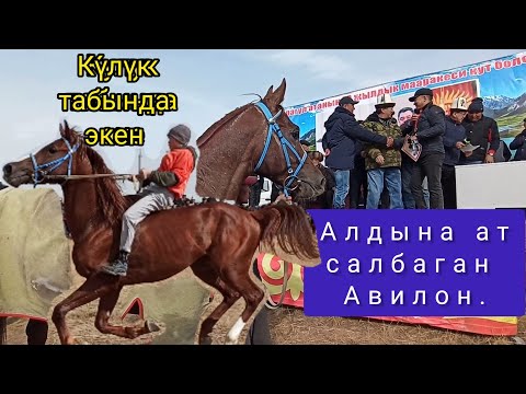 Video: Теңсиз айлык