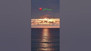 #اكسبلور #القرآن_الكريم #راحة_نفسية سورة التين❤️الشيخ ماهر المعيقلي