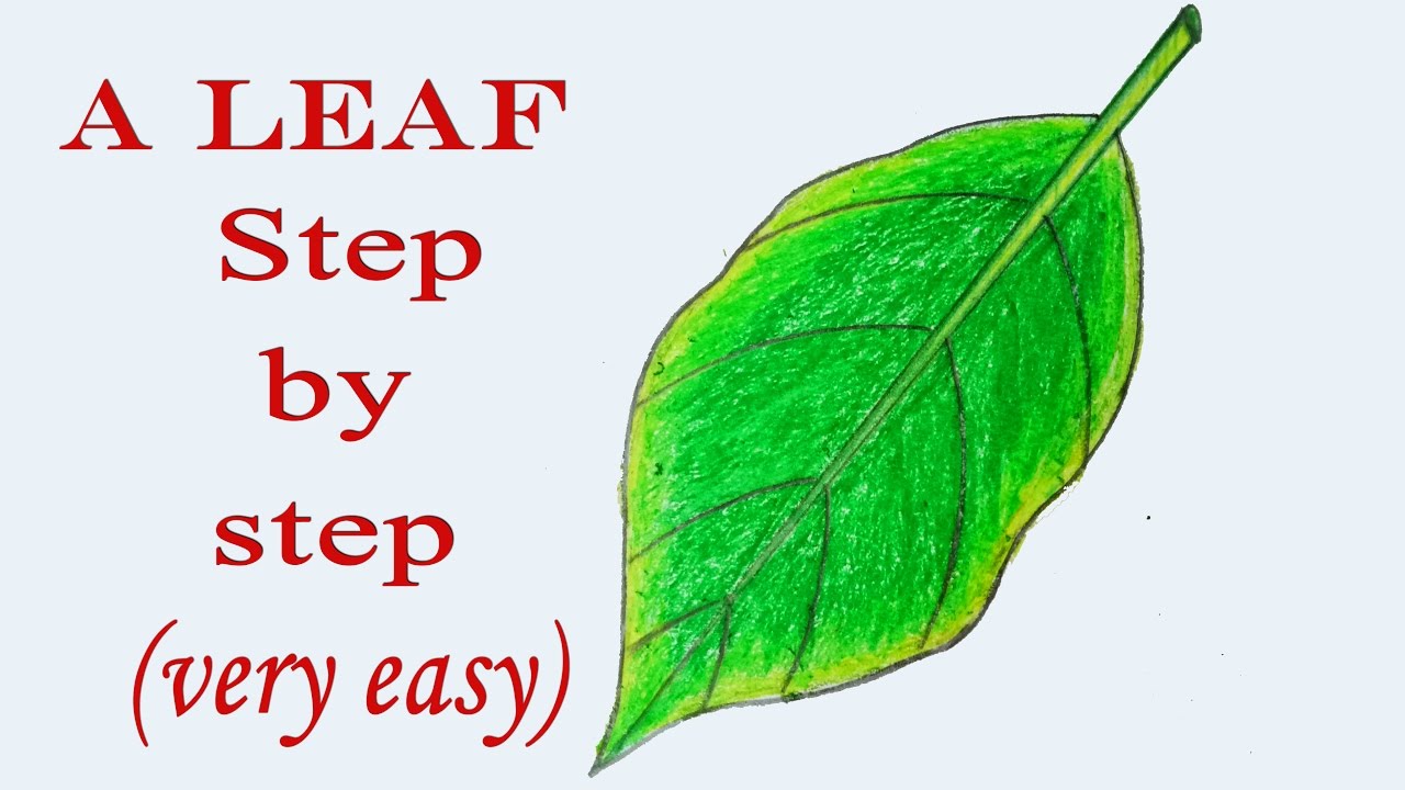 How To Draw A Leaf Step By Step EasyLineDrawing | vlr.eng.br