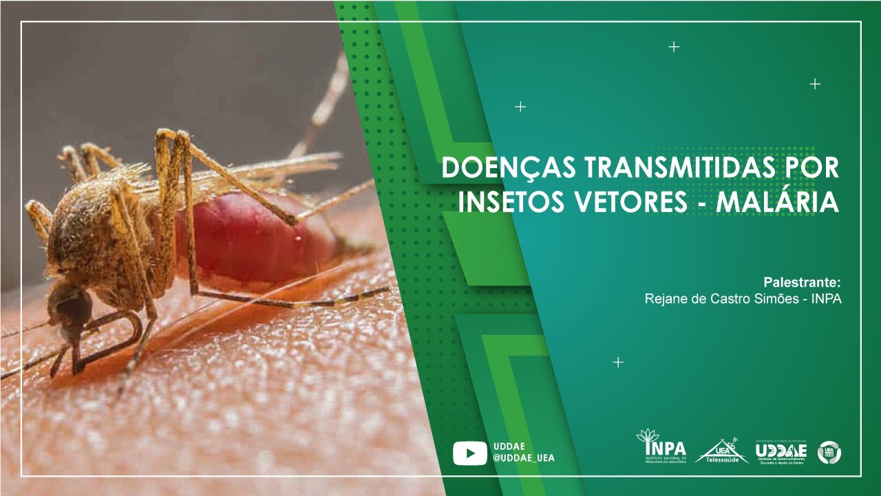 Módulo6: Doenças Transmitidaspor Insetos Vetores - Malária. - YouTube