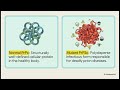 Animal & Marine Toxins |Toxicity Mechanism | Food Safety | Toxicology · Chemistry · Forensics