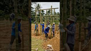 From Empty Land to Luxury Bamboo Villa 😍 Full Build Timelapse #shorts