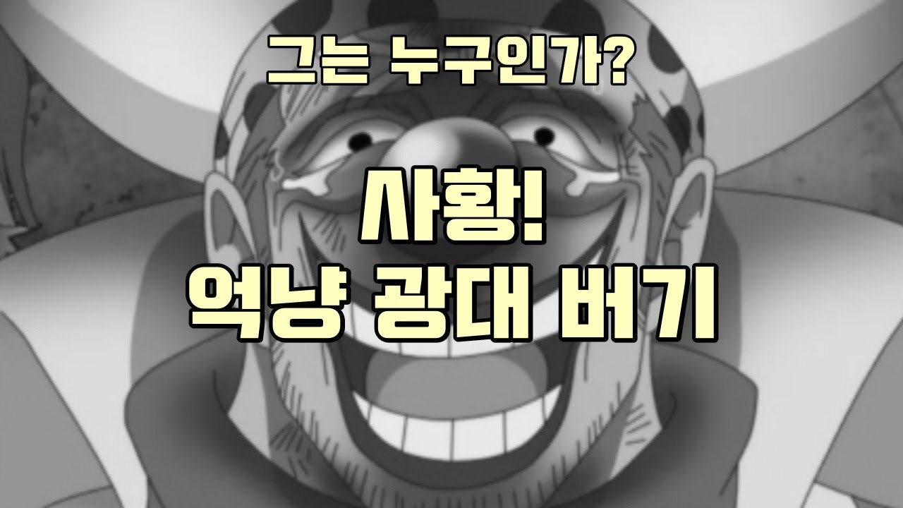 원피스 사황 버기 , 구 칠무해 / 럭키 가이 버기에 대한 영상 / 억냥 광대 / 30억베리 - YouTube
